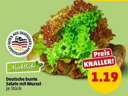 PENNY Marktliebe Deutsche bunte Salate mit Wurzel Angebot
