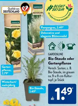Aldi Süd GARDENLINE Bio-Staude oder Gartenpflanze Angebot