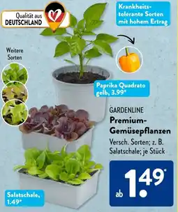 Aldi Süd GARDENLINE Premium Gemüsepflanzen Angebot