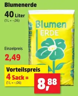Thomas Philipps Blumenerde Angebot