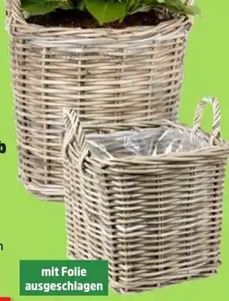 Thomas Philipps Weidenkorb Angebot