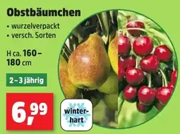 Thomas Philipps Obstbäumchen Angebot