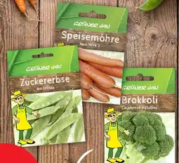 Thomas Philipps Saatgut Gemüse/Blumen Angebot