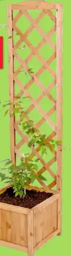 Thomas Philipps Pflanzkübel mit Rankgitter Angebot