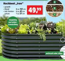 Thomas Philipps Hochbeet,,Iron" Angebot