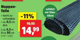 Thomas Philipps Noppenfolie Angebot