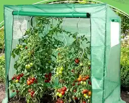 Thomas Philipps Rankhilfe Angebot