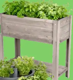 Thomas Philipps Hochbeet Angebot