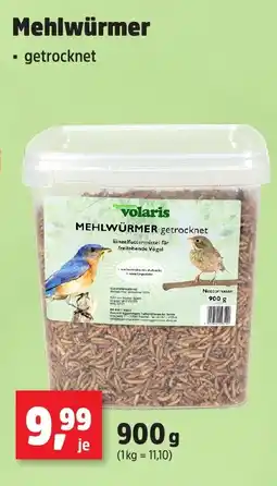 Thomas Philipps Volaris mehlwürmer getrocknet Angebot