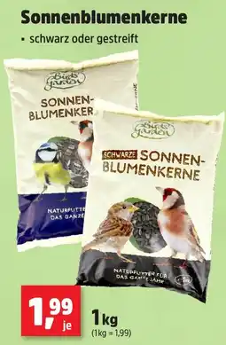 Thomas Philipps Birds' Garden Sonnenblumenkerne Angebot