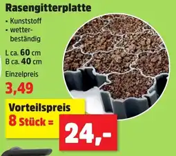 Thomas Philipps Rasengitterplatte Angebot