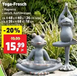 Thomas Philipps Yoga Frosch Angebot