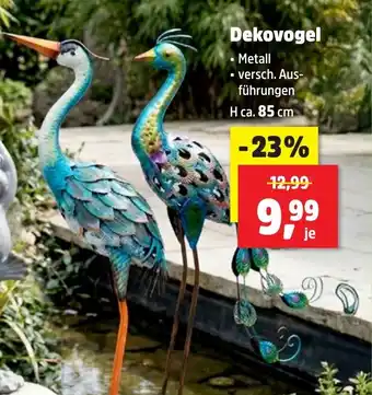 Thomas Philipps Dekovogel Angebot