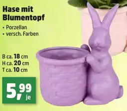 Thomas Philipps Hase mit Blumentopf Angebot