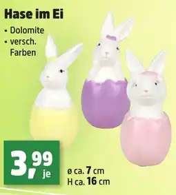Thomas Philipps Hase im Ei Angebot