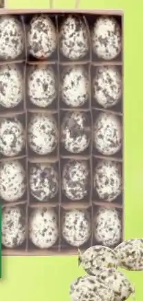 Thomas Philipps Mini-Wachteleier 20er-Set Angebot