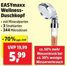Thomas Philipps EASYmaxx Wellness- Duschkopf Angebot