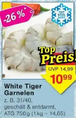 Jawoll White Tiger Garnelen Angebot