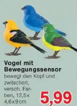 Jawoll Vogel mit Bewegungssensor Angebot