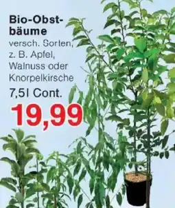 Jawoll Bio-Obstbäume Angebot