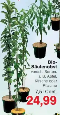 Jawoll Bio- Säulenobst Angebot