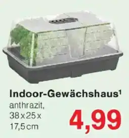 Jawoll Indoor-Gewächshaus Angebot