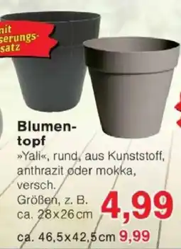 Jawoll Blumen topf Angebot