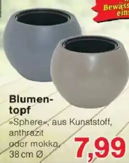 Jawoll Blumen topf Angebot