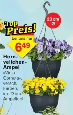 Jawoll Hornveilchen- Ampel Angebot