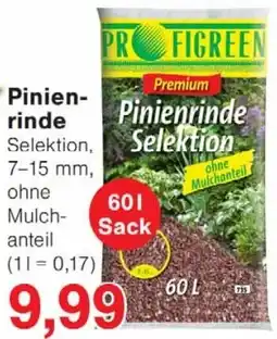 Wiglo Wunderland PROFIGREEN Pinienrinde Angebot