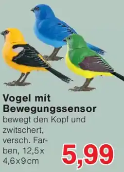 Wiglo Wunderland Vogel mit Bewegungssensor Angebot