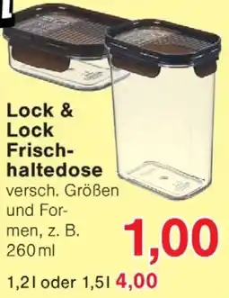 Wiglo Wunderland Lock & Lock Frisch haltedose Angebot