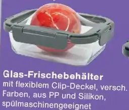 Wiglo Wunderland Glas-Frischebehälter Angebot
