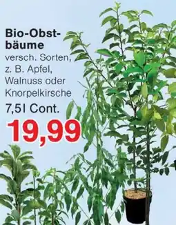 Wiglo Wunderland Bio-Obst bäume Angebot