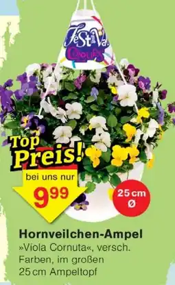 Wiglo Wunderland Hornveilchen-Ampel Angebot