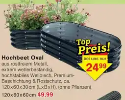 Wiglo Wunderland Hochbeet Oval Angebot