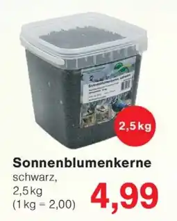 Wiglo Wunderland Sonnenblumenkerne Angebot