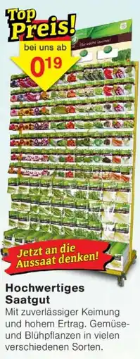 Wiglo Wunderland Hochwertiges Saatgut Angebot