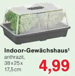 Wiglo Wunderland Indoor-Gewächshaus Angebot