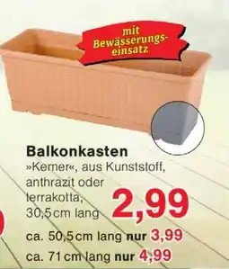 Wiglo Wunderland Balkonkasten Angebot