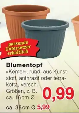 Wiglo Wunderland Blumentopf Angebot