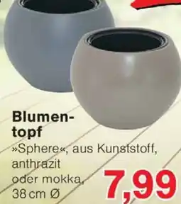 Wiglo Wunderland Blumen topf Angebot