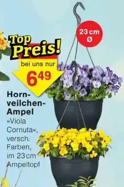 Wiglo Wunderland Hor veilchen Ampel Angebot