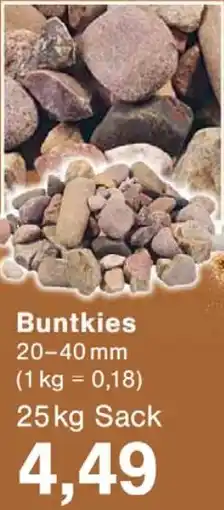 Wiglo Wunderland Buntkies 20-40 mm Angebot