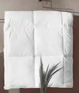 Zurbrüggen billerbeck Ganzjahresbett Polarstern Angebot