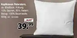Zurbrüggen billerbeck Kopfkissen Polarstern Angebot