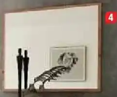 Zurbrüggen Voleo Spiegel Angebot