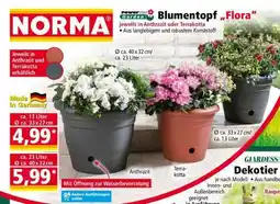 Norma Blumentopf „Flora“ Angebot