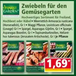 Norma Zwiebeln für den Gemüsegarten Angebot