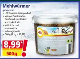 Norma Mehlwürmer Angebot